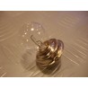 LAMPADINA 6V 15W